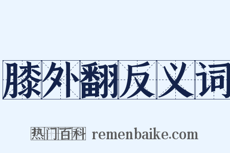 膝外翻反义词是什么意思的图片